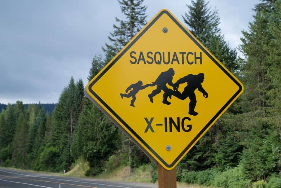 20 Best Bigfoot Experiences in the USA for 2025