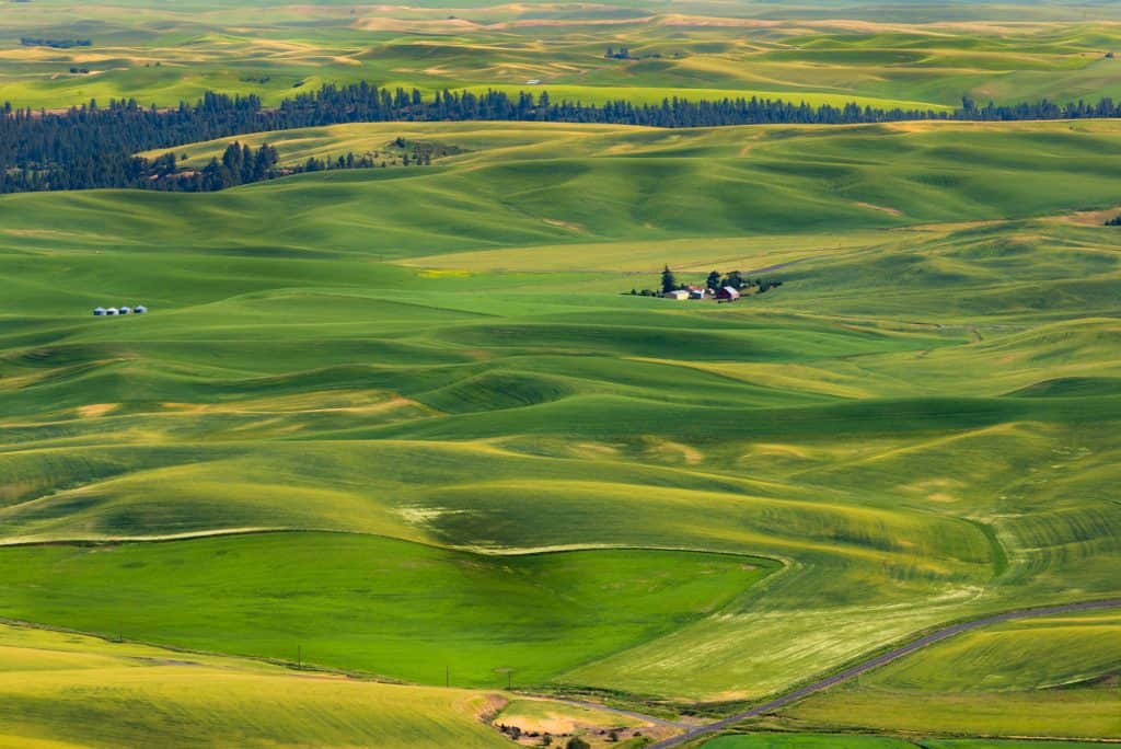 Things to do in Colfax WA - Steptoe Butte State Park