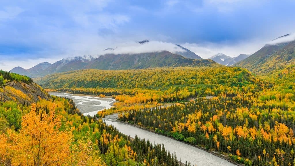 Expansive autumn landscape with a winding river cutting through a forest of yellow and green trees, set against distant, cloud-covered mountains under a partly cloudy sky, capturing the essence of Southeast Alaska seasons.