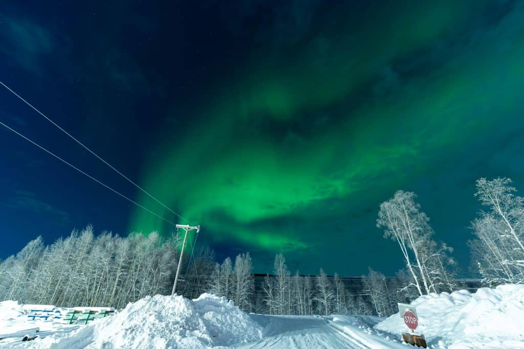 The Northern Lights in Alaska illuminate a snowy landscape with trees and a stop sign under a starry sky, offering one of the most breathtaking views. The best time to see the aurora borealis is here, where Fairbanks' northern lights viewing promises an unforgettable experience.