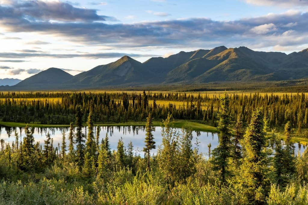 Explore a stunning mountain range in Southeast Alaska, where dense evergreen forests surround a reflective lake, all under a partly cloudy sunset sky. It's one of the best places to visit in Alaska for nature enthusiasts.