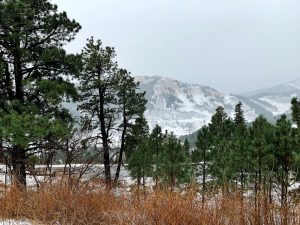 Snow-covered mountains and evergreen trees under a cloudy sky, with dry grasses in the foreground—a scenic glimpse into Ruidoso’s natural beauty. Start planning your 2025 escape with this perfect Vacation Guide inspiration.