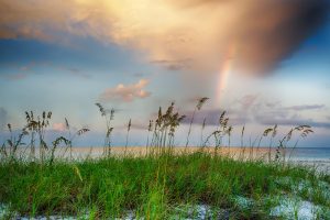Tall grass on a sandy beach in Bay St. Louis, Mississippi, with calm water under a cloudy sunset sky—a perfect escape. A faint rainbow shimmers in the background.