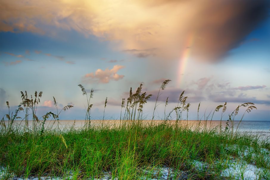 Tall grass on a sandy beach in Bay St. Louis, Mississippi, with calm water under a cloudy sunset sky—a perfect escape. A faint rainbow shimmers in the background.